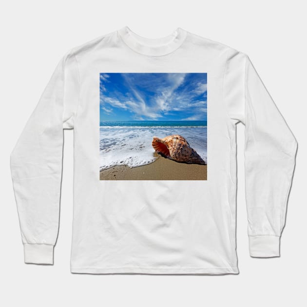 Beach with conch shell under blue sky Long Sleeve T-Shirt by Constantinos Iliopoulos Photography